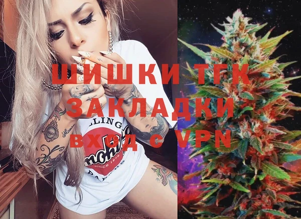 PSILOCYBIN Богданович